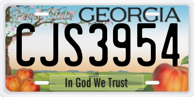 GA license plate CJS3954