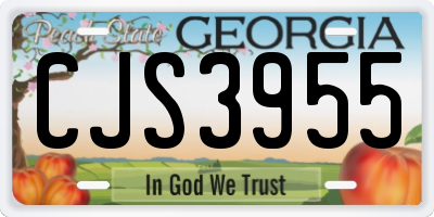 GA license plate CJS3955