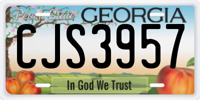 GA license plate CJS3957