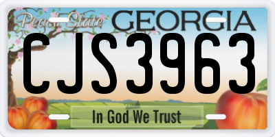 GA license plate CJS3963