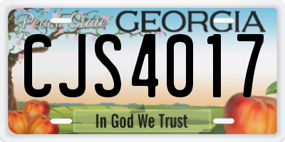 GA license plate CJS4017