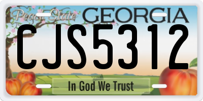 GA license plate CJS5312