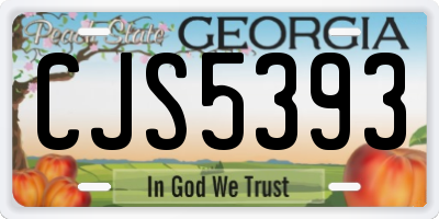 GA license plate CJS5393