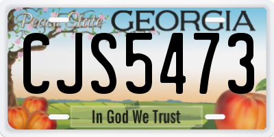 GA license plate CJS5473