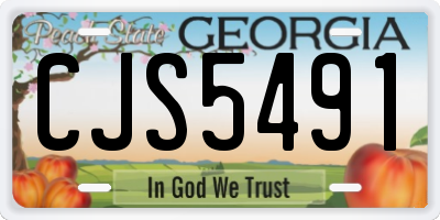 GA license plate CJS5491
