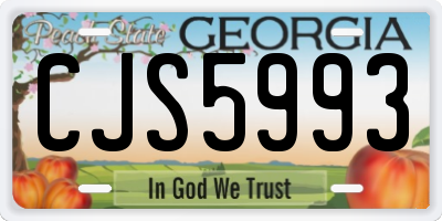 GA license plate CJS5993