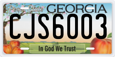 GA license plate CJS6003