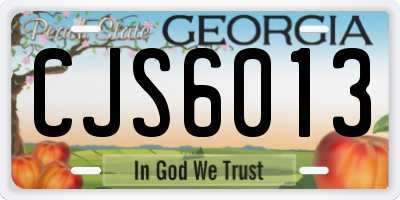 GA license plate CJS6013