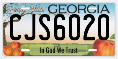 GA license plate CJS6020