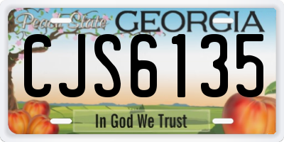 GA license plate CJS6135