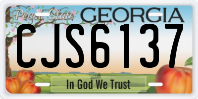 GA license plate CJS6137