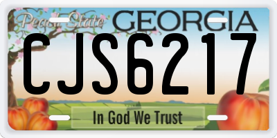 GA license plate CJS6217