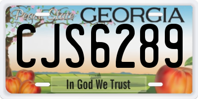 GA license plate CJS6289