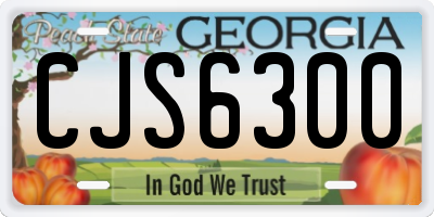GA license plate CJS6300