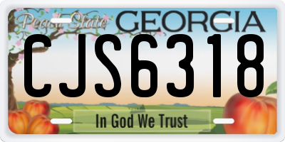 GA license plate CJS6318