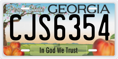 GA license plate CJS6354