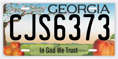 GA license plate CJS6373