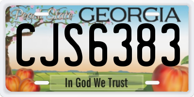 GA license plate CJS6383
