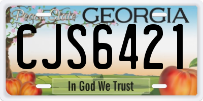 GA license plate CJS6421
