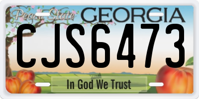GA license plate CJS6473