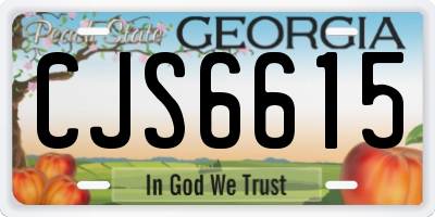 GA license plate CJS6615