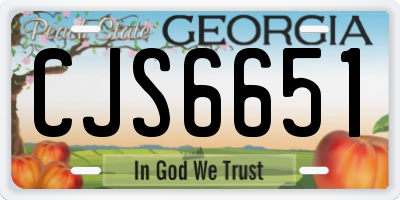 GA license plate CJS6651