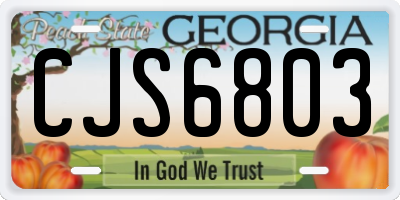 GA license plate CJS6803