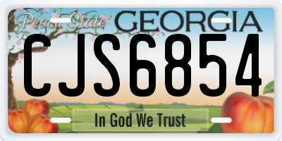 GA license plate CJS6854