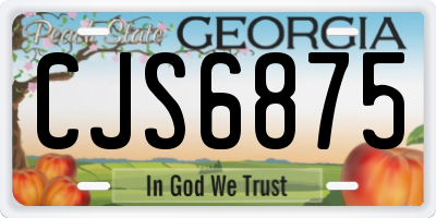 GA license plate CJS6875