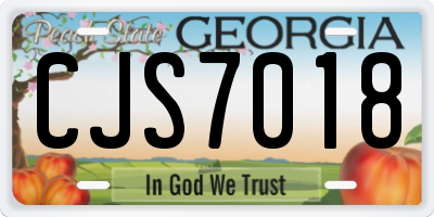 GA license plate CJS7018