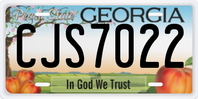 GA license plate CJS7022