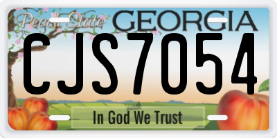 GA license plate CJS7054
