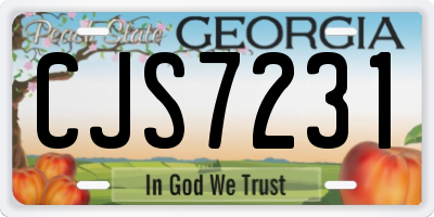 GA license plate CJS7231
