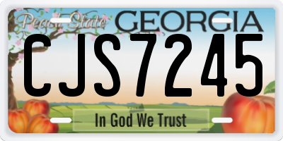 GA license plate CJS7245