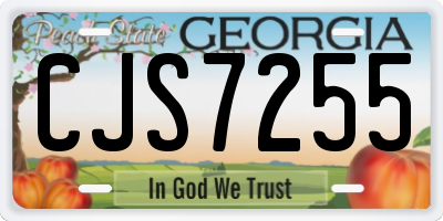 GA license plate CJS7255