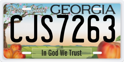 GA license plate CJS7263