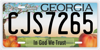 GA license plate CJS7265