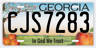 GA license plate CJS7283