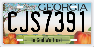 GA license plate CJS7391