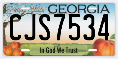 GA license plate CJS7534
