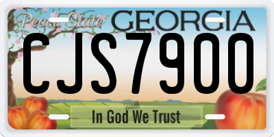 GA license plate CJS7900