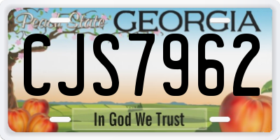 GA license plate CJS7962