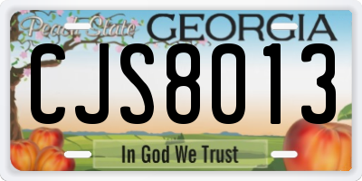 GA license plate CJS8013