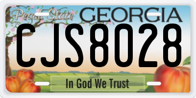 GA license plate CJS8028