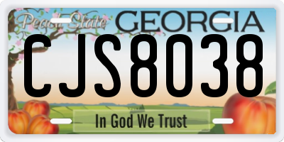 GA license plate CJS8038
