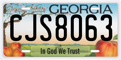 GA license plate CJS8063