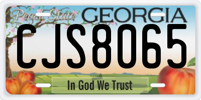 GA license plate CJS8065