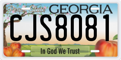 GA license plate CJS8081