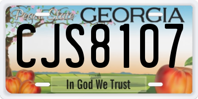 GA license plate CJS8107