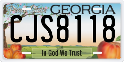 GA license plate CJS8118
